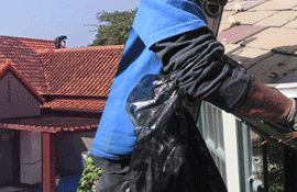 Gutter & Roof Cleaning